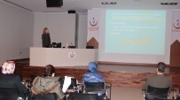 FETHİ SEKİN - Elazığ'da 'Akılcı Antibiyotik Kullanımı' Semineri