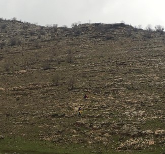 Kayalıklardan Düşen Genç Çoban Yaralandı