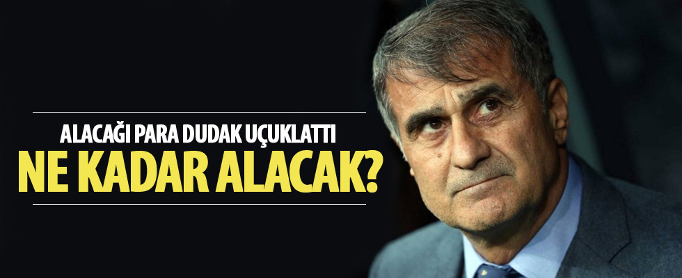 Şenol Güneş'in alacağı para dikkat çekti