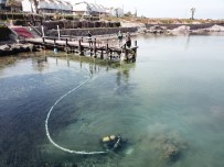 ÇıTAK - BASKİ Ayvalık'tan Vazgeçmiyor