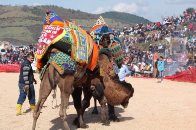 Develerin Altında Ölüyorlardı