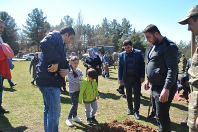 TEMA Vakfı Midyat'ta 300 Fidanı Toprakla Buluşturdu