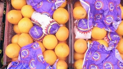 Türkiye En Çok Yaş Meyve Ve Sebzeyi Rusya'ya Sattı