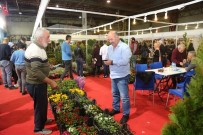 FINDIK TOPLAMA - Çiftçiler Tarım Fuarına Akın Etti