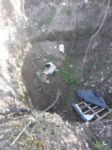 Dalyan Barınağı Ekipleri Kuyuya Düşen Köpeği Kurtardı