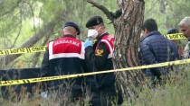 VARSAK - GÜNCELLEME - Antalya'da Ormanlık Alanda Ceset Bulundu