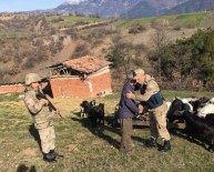 ÖZBARAKLı - Kayıp Keçileri Jandarma Buldu
