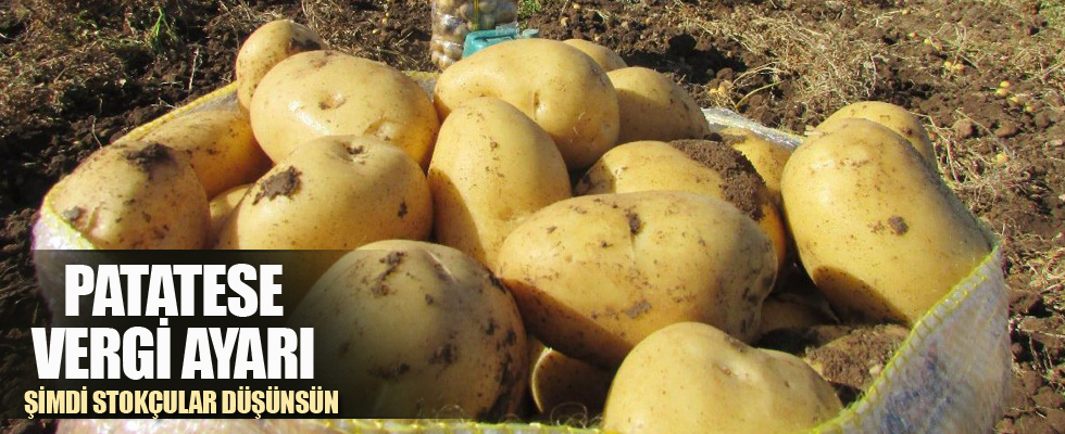 Patatese vergi ayarı