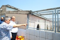 ÜMRANİYE BELEDİYESİ - Ümraniye'de Sokak Hayvanları Emin Ellerde