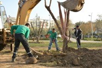 Aliağa Belediyesi'nin Hedefi 2 Milyon Metre Kare Yeşil Alan