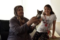 SOKAK HAYVANI - Binlerce Sokak Hayvanı Sıcak Bir Yuvaya Kavuşturuldu