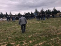 BAŞÖRTÜSÜ - Çapa Makinesine Sıkışarak Ölen Kadın Defnedildi