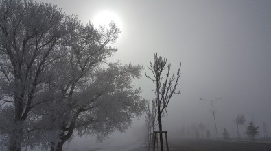 Doğu Anadolu'da Soğuk Hava Açıklaması Ağrı Eksi 12