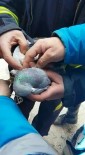 İPEKYOLU - İpe Dolana Güvercin, İtfaiye Ekipleri Tarafından Kurtarıldı
