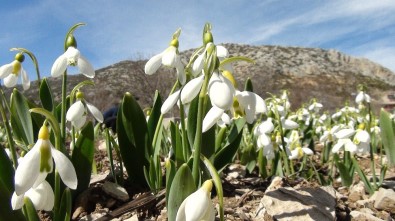 Toroslar'ın Gelinliğini Koruma Projesi