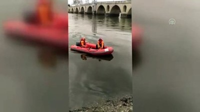 AFAD Sokak Köpeğini Meriç'te Boğulmaktan Kurtardı