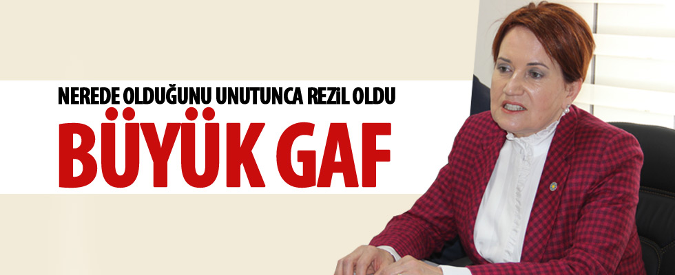 Akşener'den Kars gafı