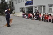 ASIM KOCABIYIK - Jandarma Köpeklerinin Gösterisini Minikler Şaşırarak İzledi