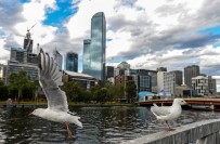 LOS ANGELES - Melbourne Dünyanın En İyi İkinci Şehri Oldu