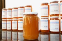 OMÜ Balı Kapış Kapış