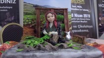 SIRBİSTAN - '3. Master Of Cake' Festivali Samsun'da Yapılacak