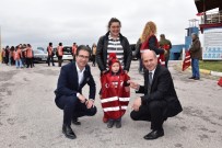 Bin 500 Adet Leylandi Toprakla Buluştu