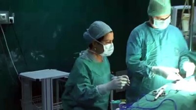 'İlklerin kadın cerrahı' rol modelleri