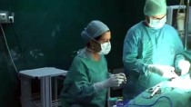 ANKARA ÜNIVERSITESI - 'İlklerin kadın cerrahı' rol modelleri