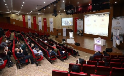 Ankara'da Uluslararası Türk Dünyası Multipl Skleroz (MS) Kongresi Düzenlendi