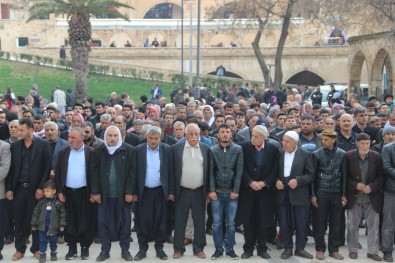 Yeni Zelanda'daki Saldırıda Hayatını Kaybedenler İçin Gıyabi Cenaze Namazı