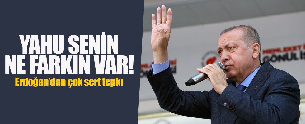 Cumhurbaşkanı Erdoğan'dan Yeni Zelanda'daki katliamla ilgili sert sözler