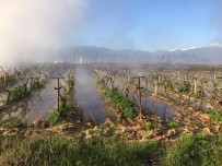 Alaşehir'de Üzüm Bağını Sıcak Su Bastı
