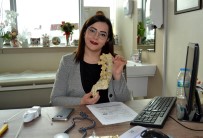 FİZİK TEDAVİ - Geçmeyen Ağrılara Ağrı Pili Tedavisi