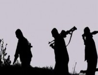 KUZEY IRAK - 'Havar Bedran' öldürüldü!