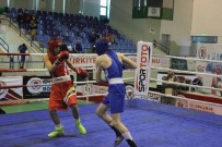 BILGE KAĞAN - Türkiye Boks Şampiyonası Final Maçlarıyla Sona Erdi