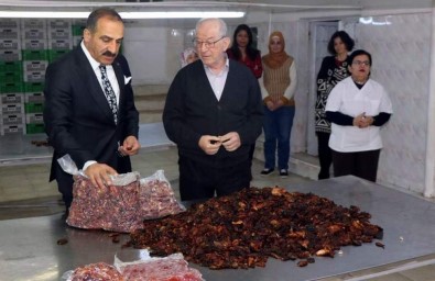 Yaş Meyve Sebze İhracatçıları 2019'Da 1 Milyar Dolar Hedef Koydu