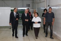 EGE İHRACATÇı BIRLIKLERI - Ege Yaş Meyve Sebze İhracatçıları Birliği Üye İlişkileri Ekibi Kurdu