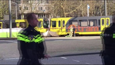 Hollanda'daki Silahlı Saldırı