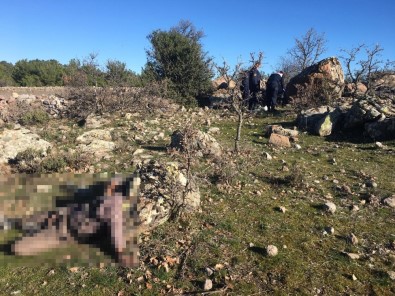 Manisa'da Kayıp Olan Bir Kişi Boş Arazide Ölü Bulundu