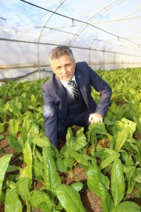 Pehlevan'dan 31 Mart'ta Göreve Gelecek Olan Belediye Başkanlarına 'Tarım Alanı' Uyarısı