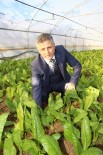 BÜYÜKŞEHİR KANUNU - Pehlevan'dan 31 Mart'ta Göreve Gelecek Olan Belediye Başkanlarına 'Tarım Alanı' Uyarısı
