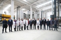 İHRACAT - Siirt Fıstığı Dünyaya Açılıyor