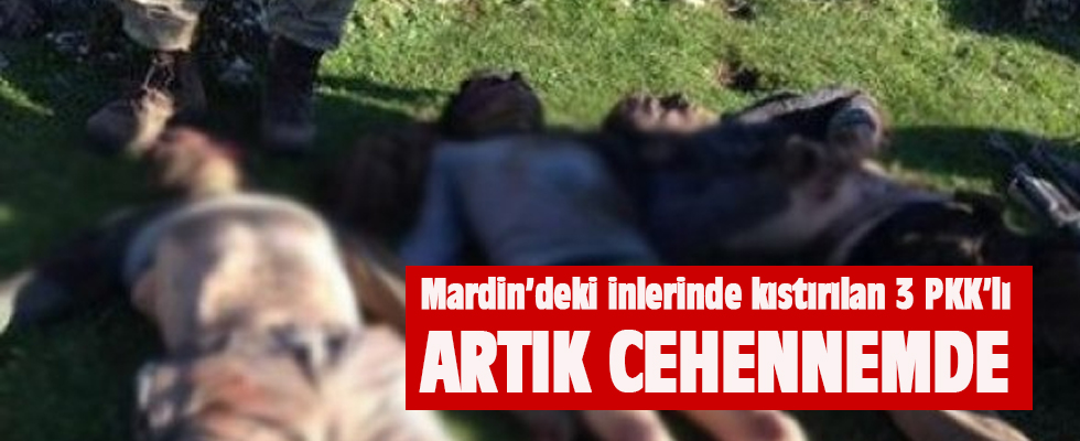 Mardin'de PKK'lıların sığınağına operasyon düzenlendi