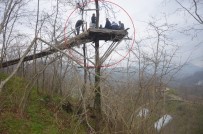 İNKUR - Üzüm Asmasına Kızdı, Ağacın Tepesine Kamelya Yaptı