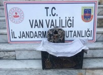 Van'da Kafes Avcısına Ceza