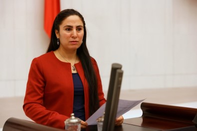 HDP'li Ayşe Sürücü'ye 1 Yıl 8 Ay Hapis Cezası