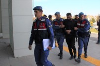 SUDURAĞı - Karaman'da Koyun Hırsızlığına Karışan 4 Kişi Tutuklandı