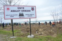 ÜMİT HÜSEYİN GÜNEY - Adalet Çalışanlarından 'Adalet Ormanı'