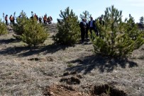 BAŞSAVCı - Adalet Hatıra Ormanına Fidan Dikimi Yapıldı