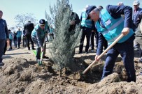 CEZAEVİ MÜDÜRÜ - Elazığ'da Adalet Ormanı Oluşturuldu